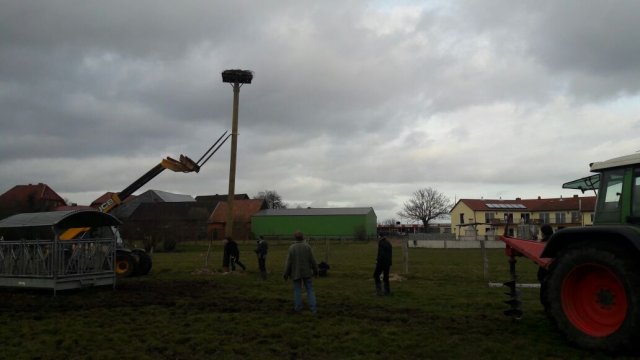 2018 Storchennest(auf)bau in Ausbuettel und Ribbesbuettel 021